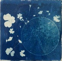 Sohaina Elia, Whispers in Blue Il, 8 x 8 Inch, Cyanotype, AC-SOEL-010 Sohaina Elia, Whispers in Blue Il, 8 x 8 Inch, Cyanotype, AC-SOEL-010